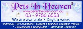 PetsInHeaven.com